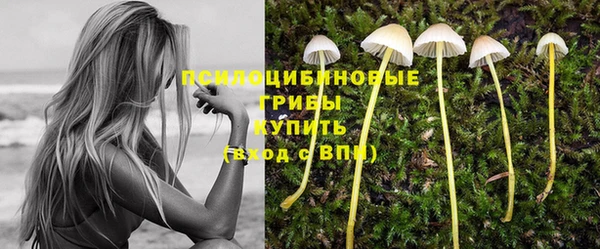 прущий лед Майский