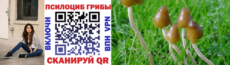 Псилоцибиновые грибы мухоморы  купить  сайты  Томмот 